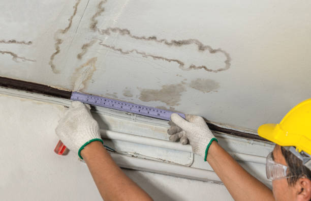 Reliable Water Damage contractor in Tiger, GA by Water Damage Irwin